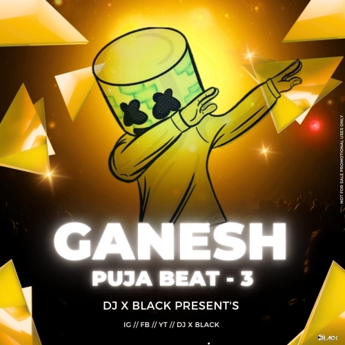SHREE GANESHA DHEE MAYE ( PSY TRANCE SOUND CHECK ) DJ X BLACK.mp3